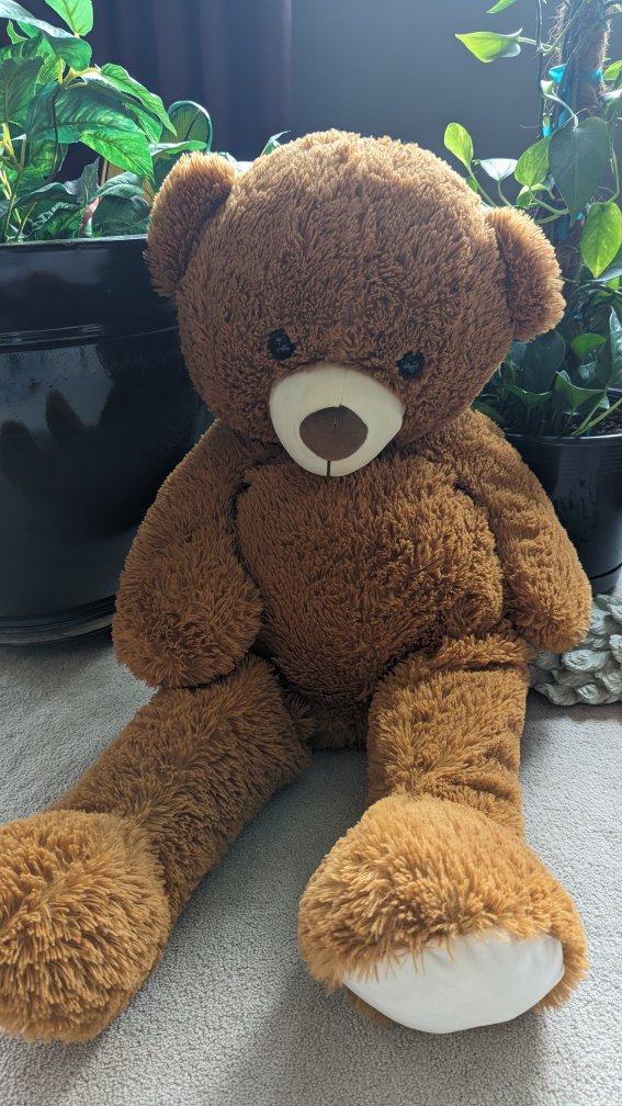 #freecycle 3'4" Brown Bear