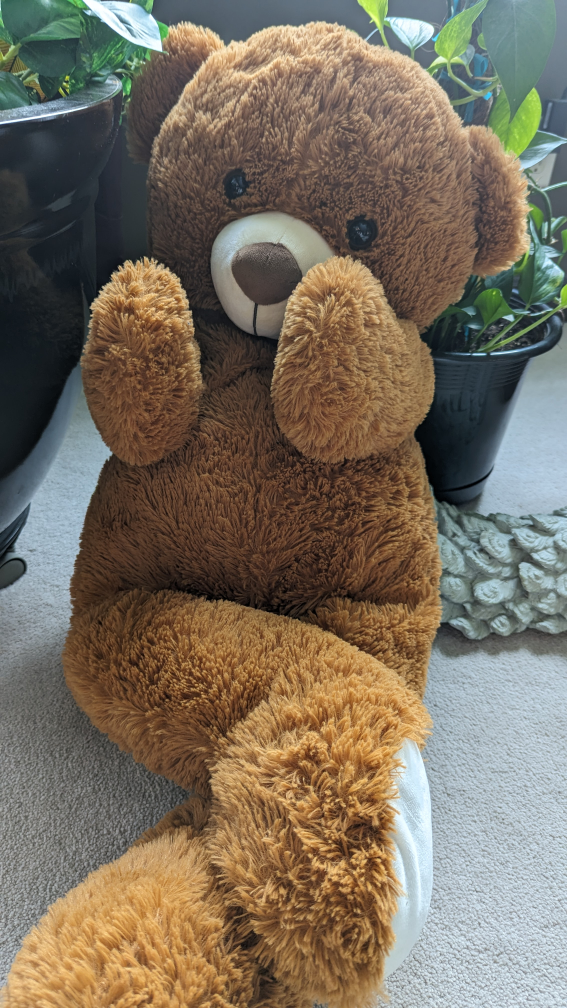 #freecycle 3'4" Brown Bear - photo 3