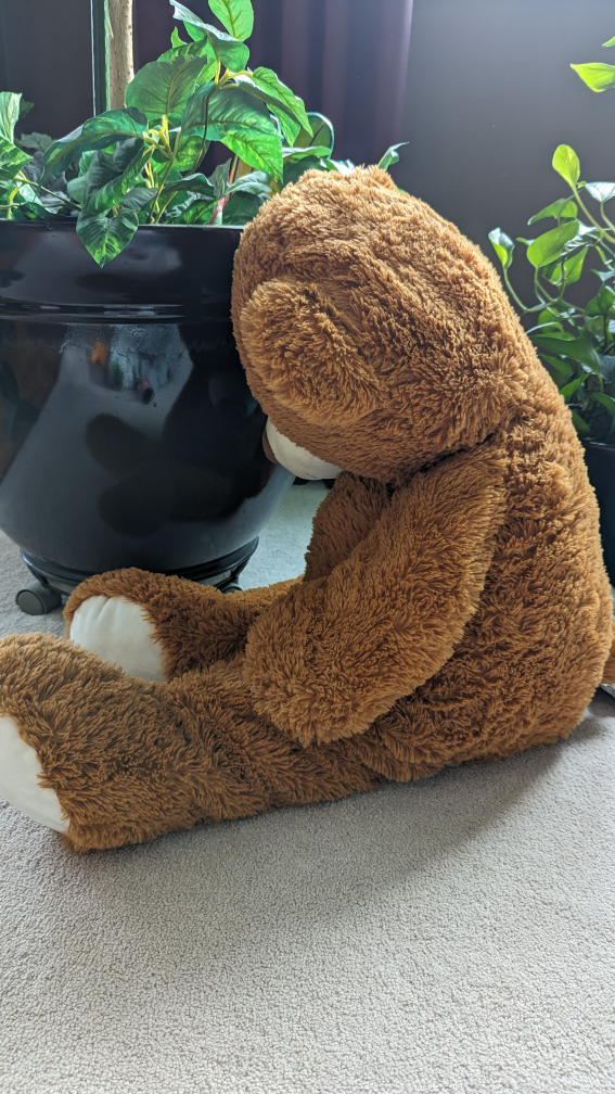 #freecycle 3'4" Brown Bear - photo 4