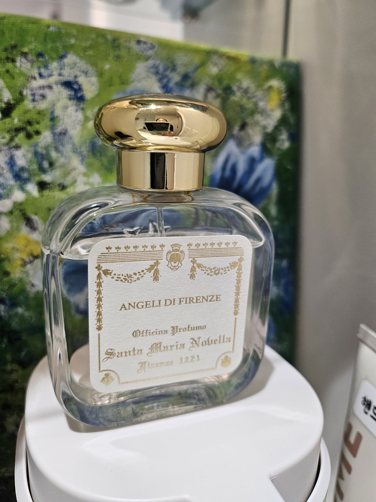 Santa maria novella/Angeli DE Firenze thumbnail