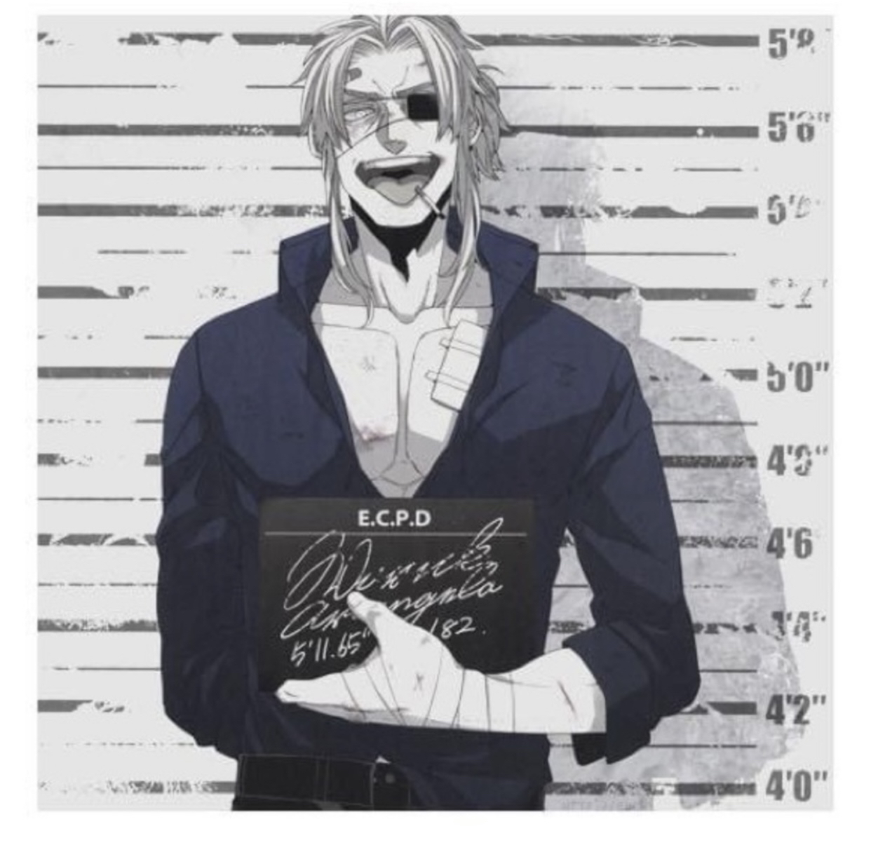 Anime / Manga Wig and Accesories image indicator(5)