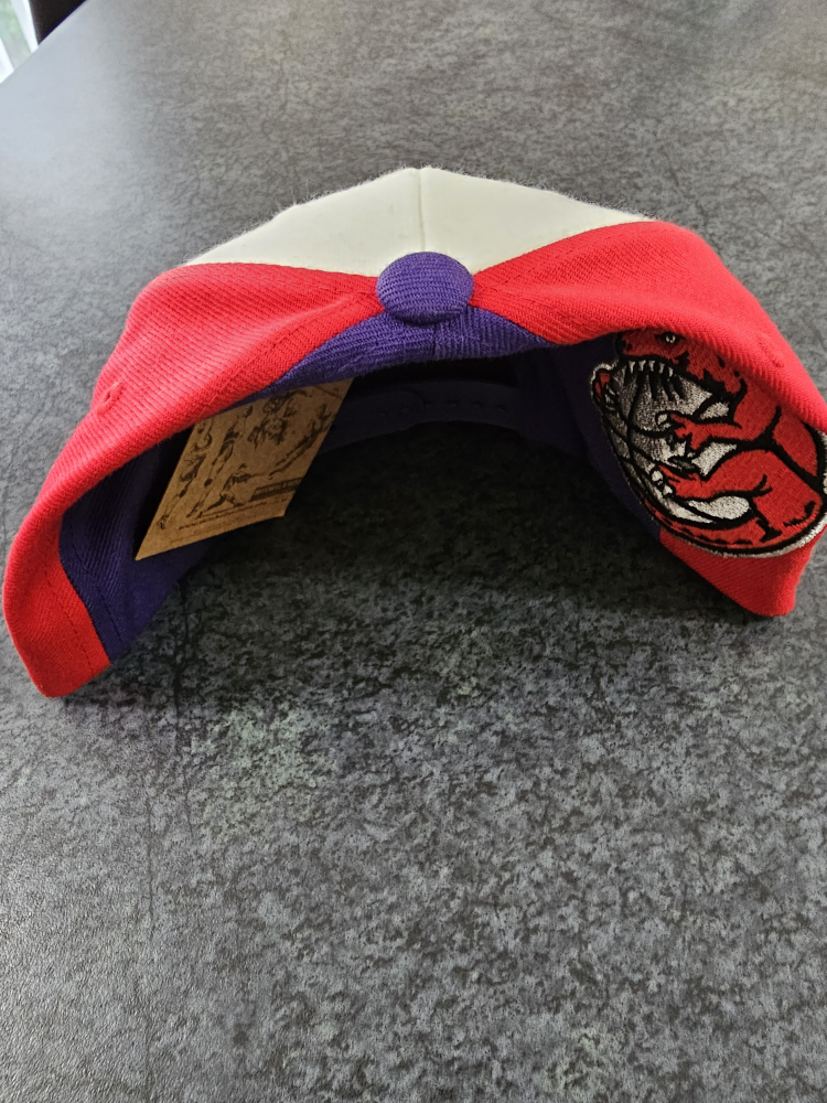 Toronto Raptors 95 Championship Hat BNWT image indicator(4)