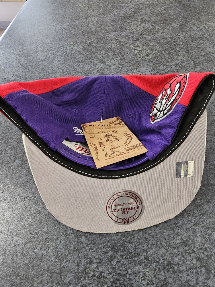 Toronto Raptors 95 Championship Hat BNWT image indicator(5)