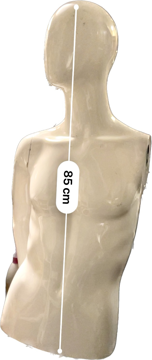 Mannequin: male torso with faceless head image indicator(4)