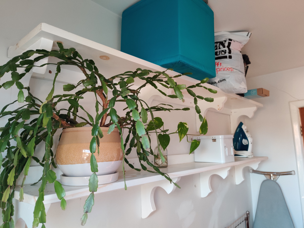 2 Long White Wood Wall Storage Shelves thumbnail