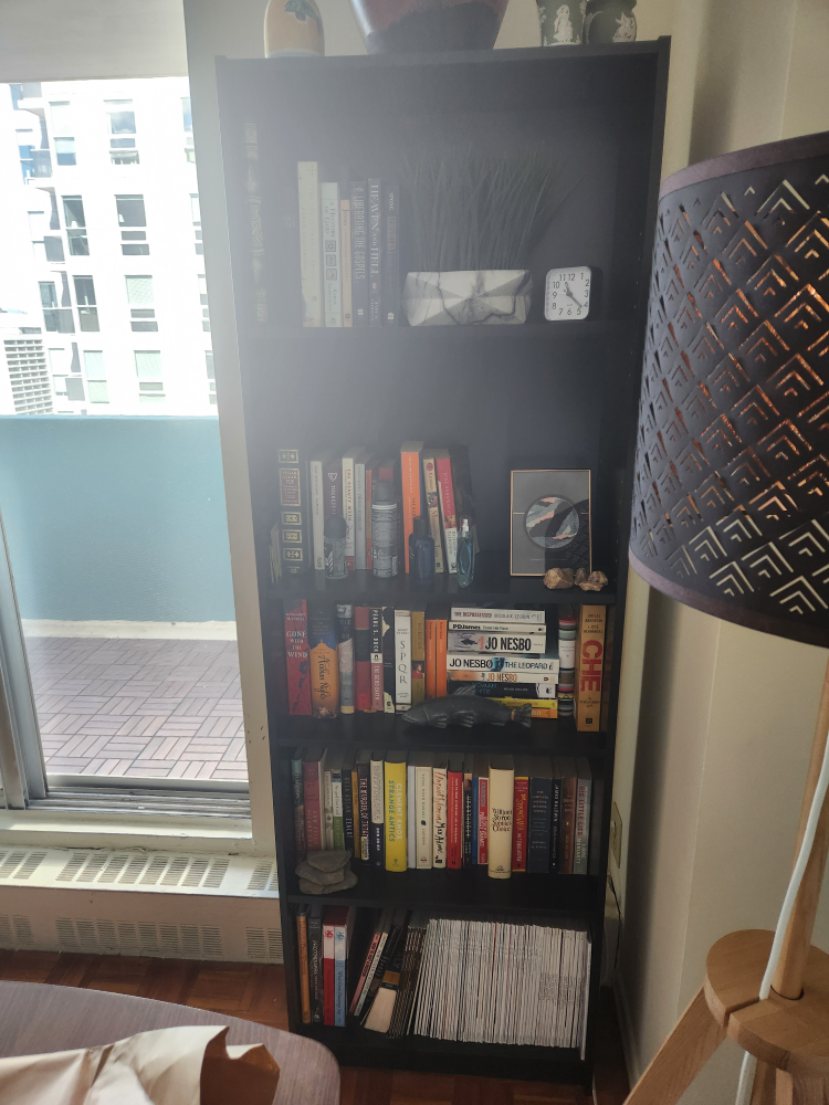 Ikea Finnby Bookcase