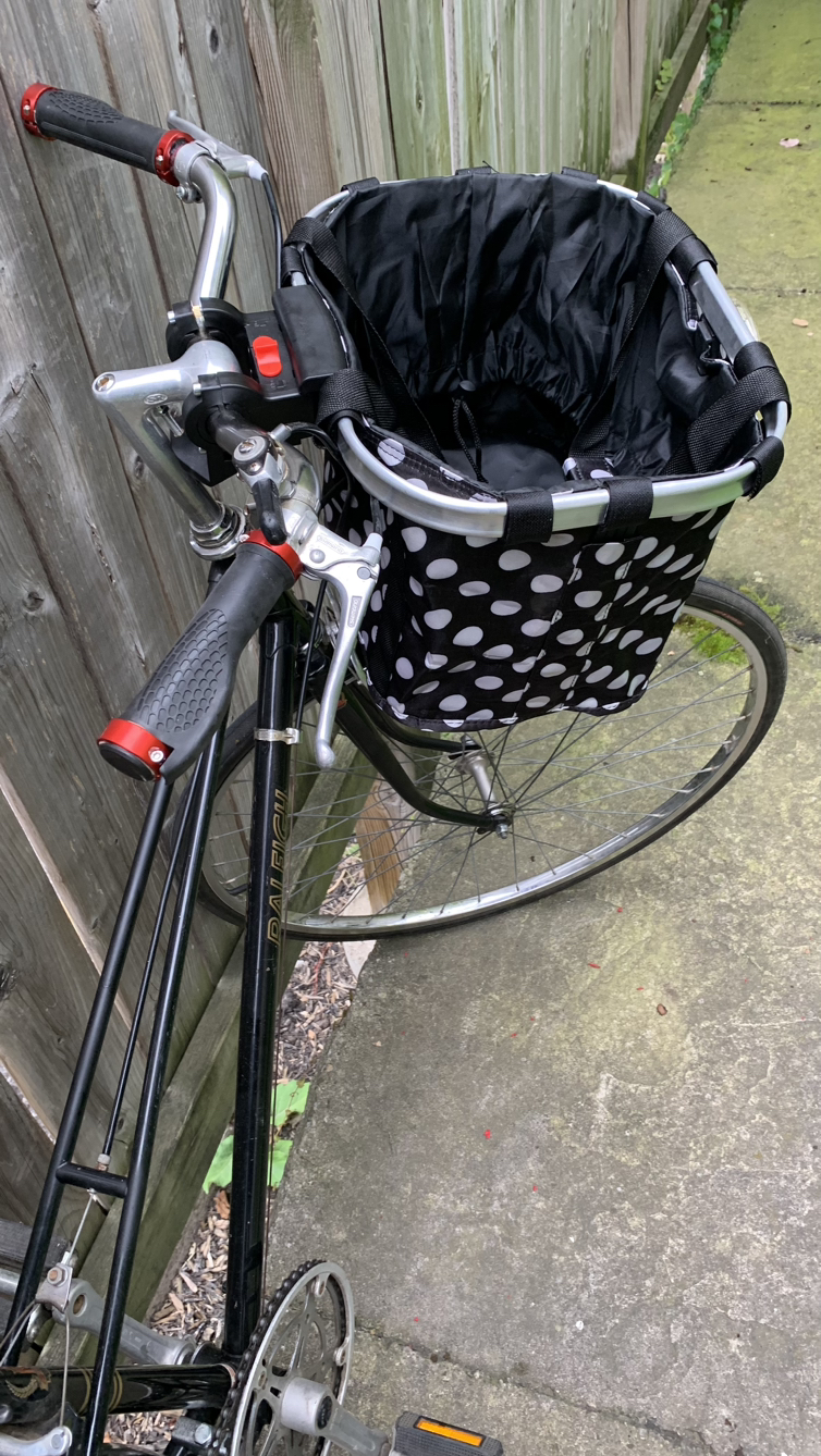 Luxury Vintage Raleigh with Pet Carrier / extras image indicator(3)