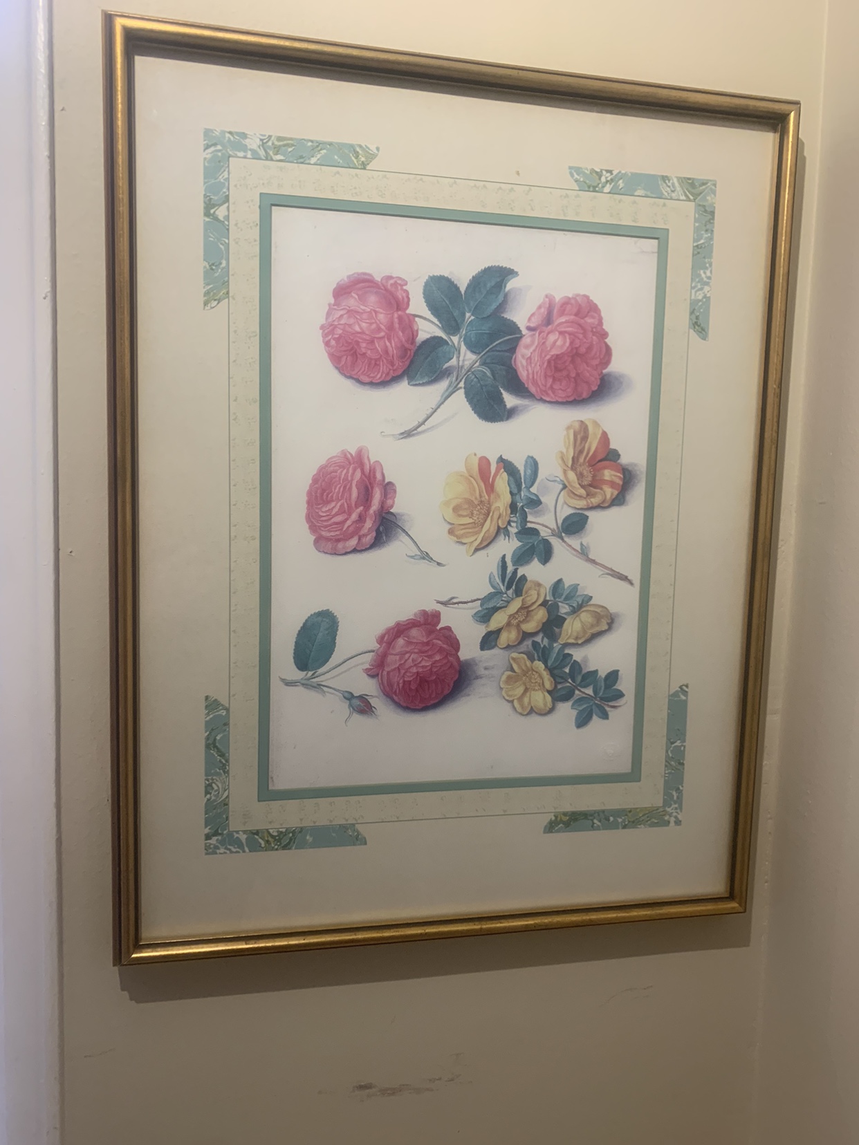 Pictures - photo 3
