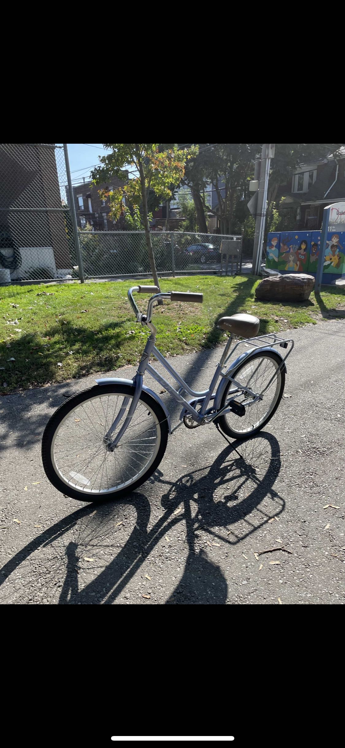 CCM youth/shorter adults’ bike image indicator(2)