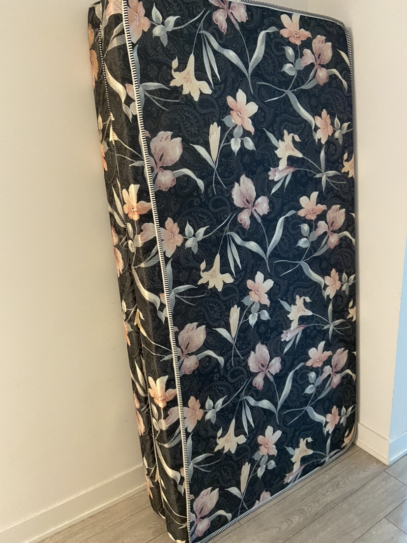 Twin Mattresses