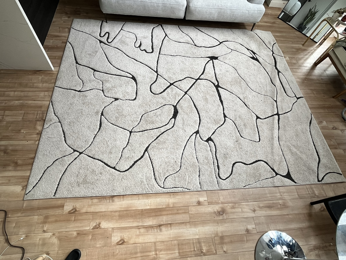 Ivory/Beige/Black Rug by CosmoLiving (LARGE) - photo 2