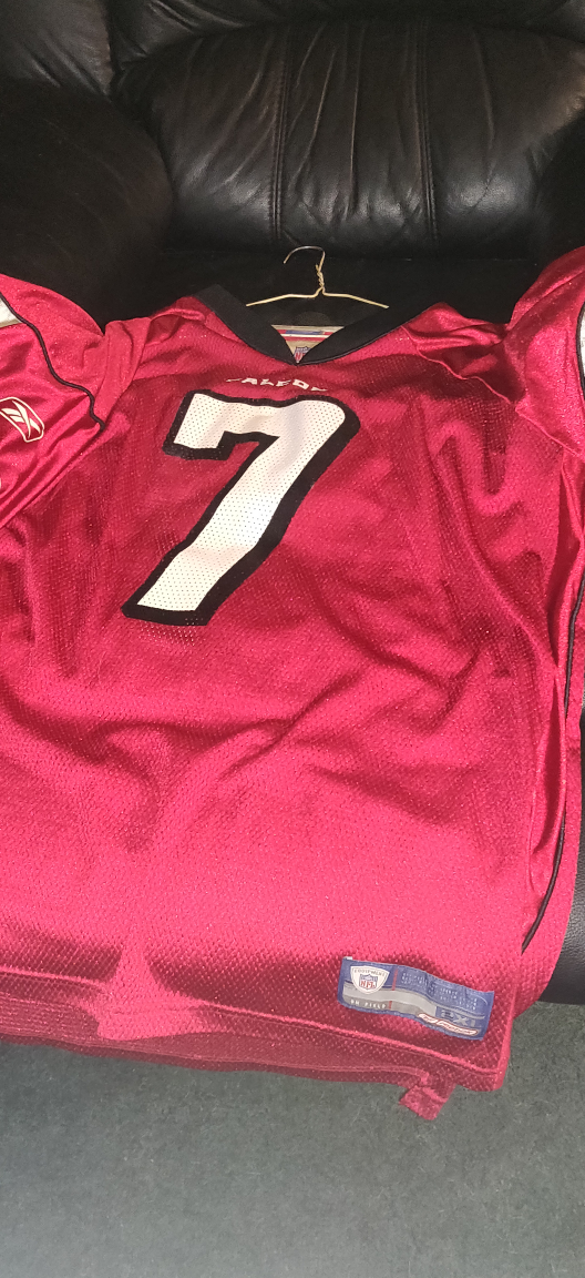 Michael Vick (QB) Atlanta Falcons NFL Jersey thumbnail