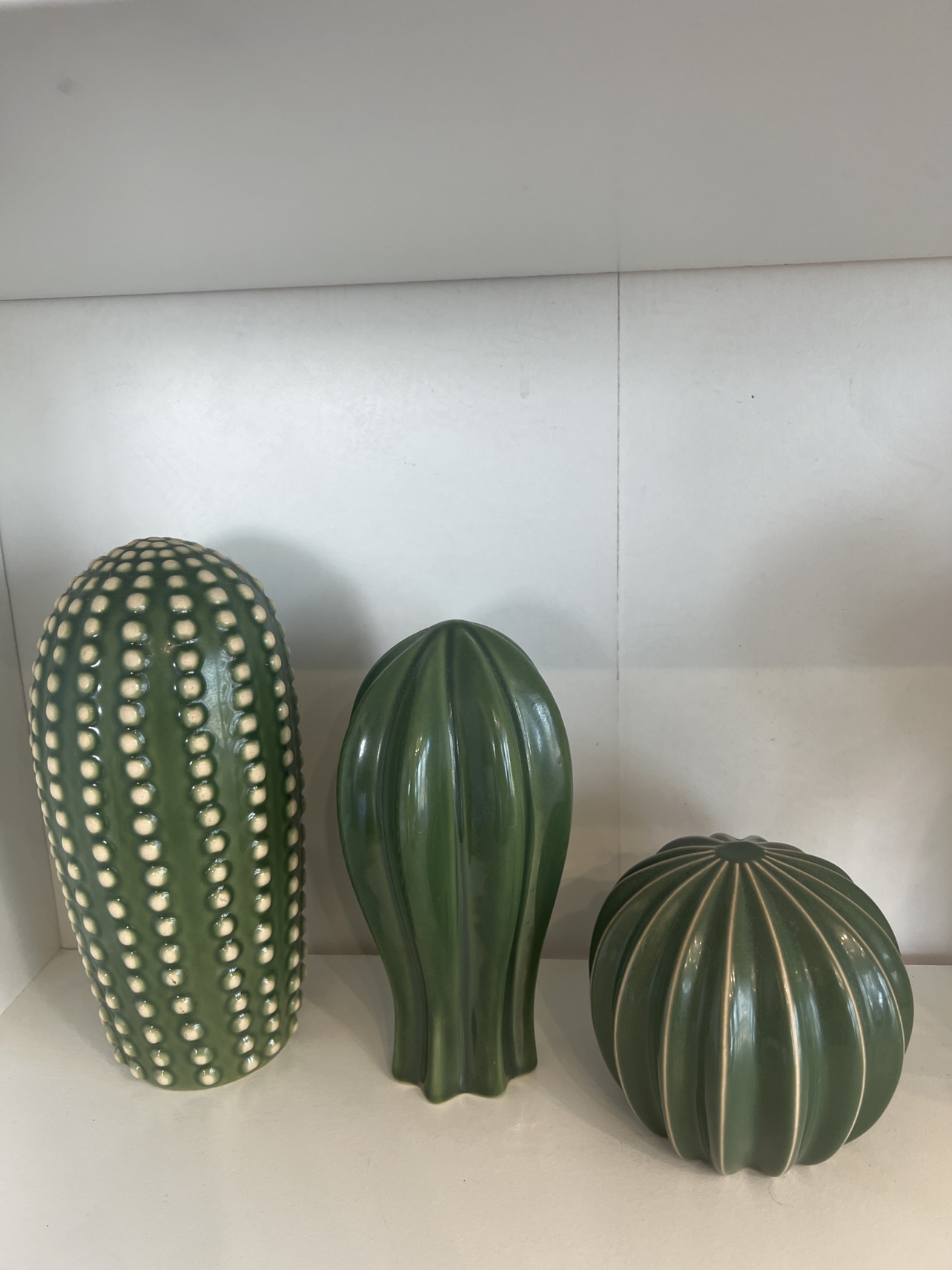 Cactus decor