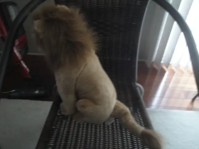 LION STUFFED ANIMAL - photo 2