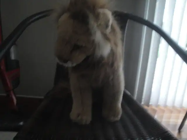LION STUFFED ANIMAL - photo 3