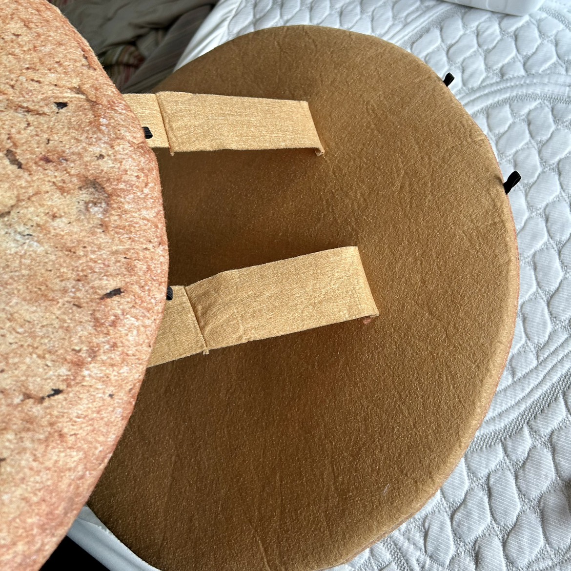 Cookie costume 🍪 🎃 image indicator(2)