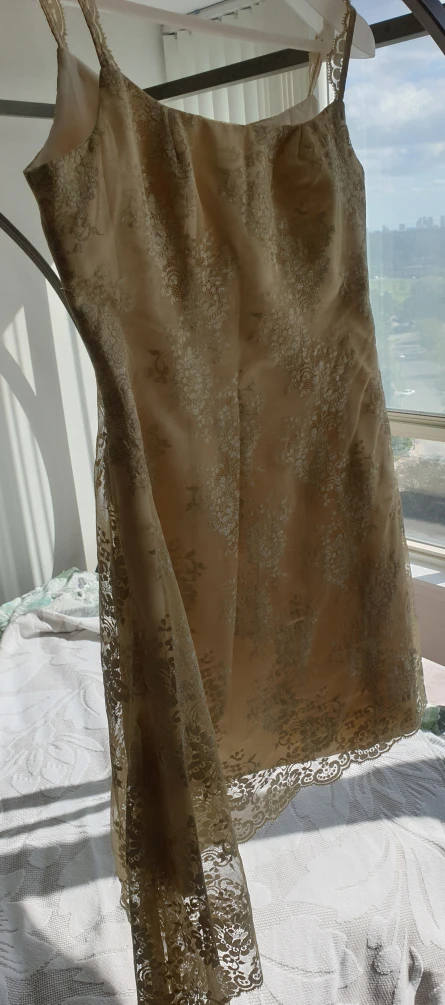 Pronuptia Paris Couture Antique Gold Lace & Silk "Wedding"  Gown image indicator(2)