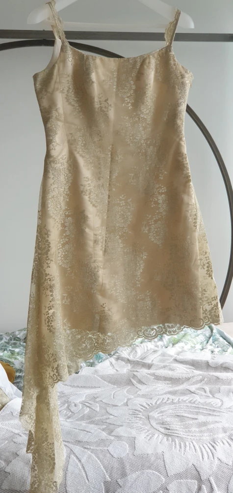 Pronuptia Paris Couture Antique Gold Lace & Silk "Wedding"  Gown image indicator(3)