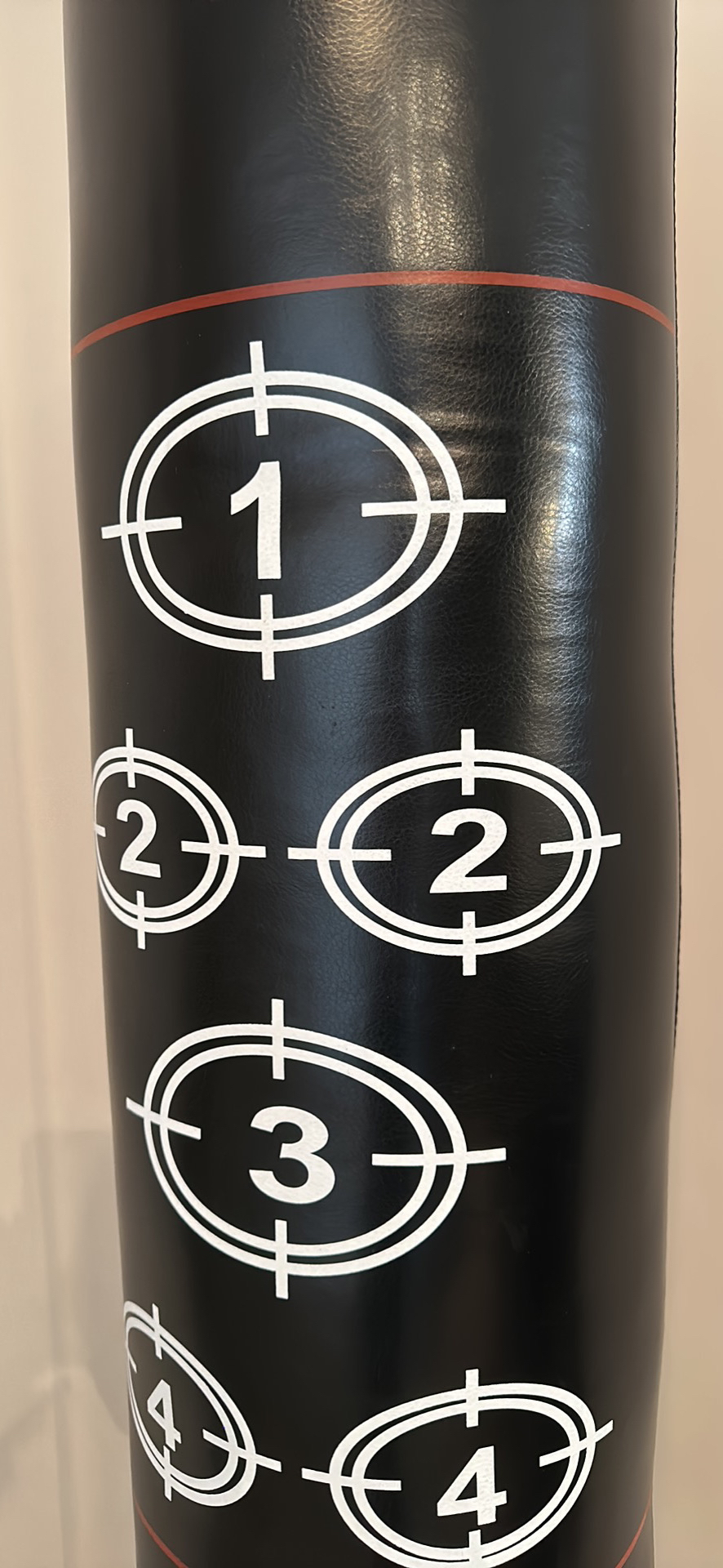 Punching bag with gloves