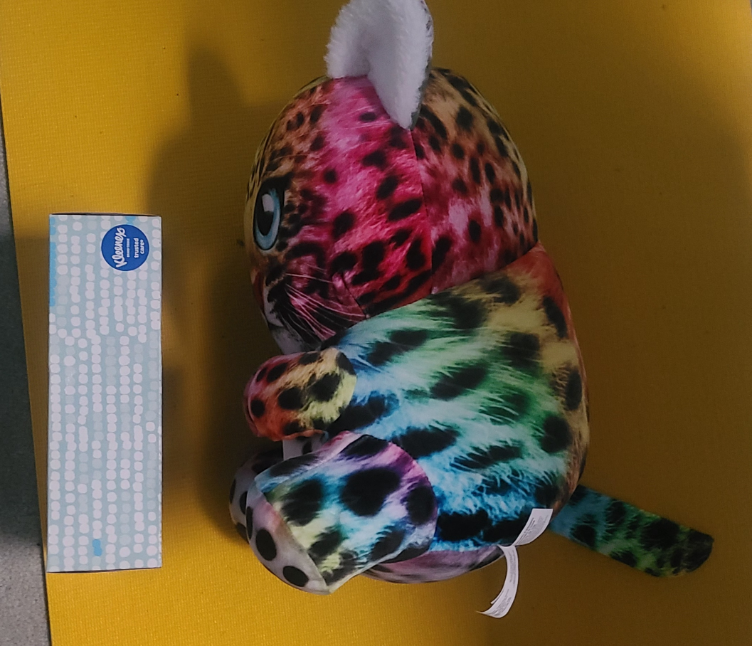 Big Cat Soft Toy #freecycle image indicator(2)