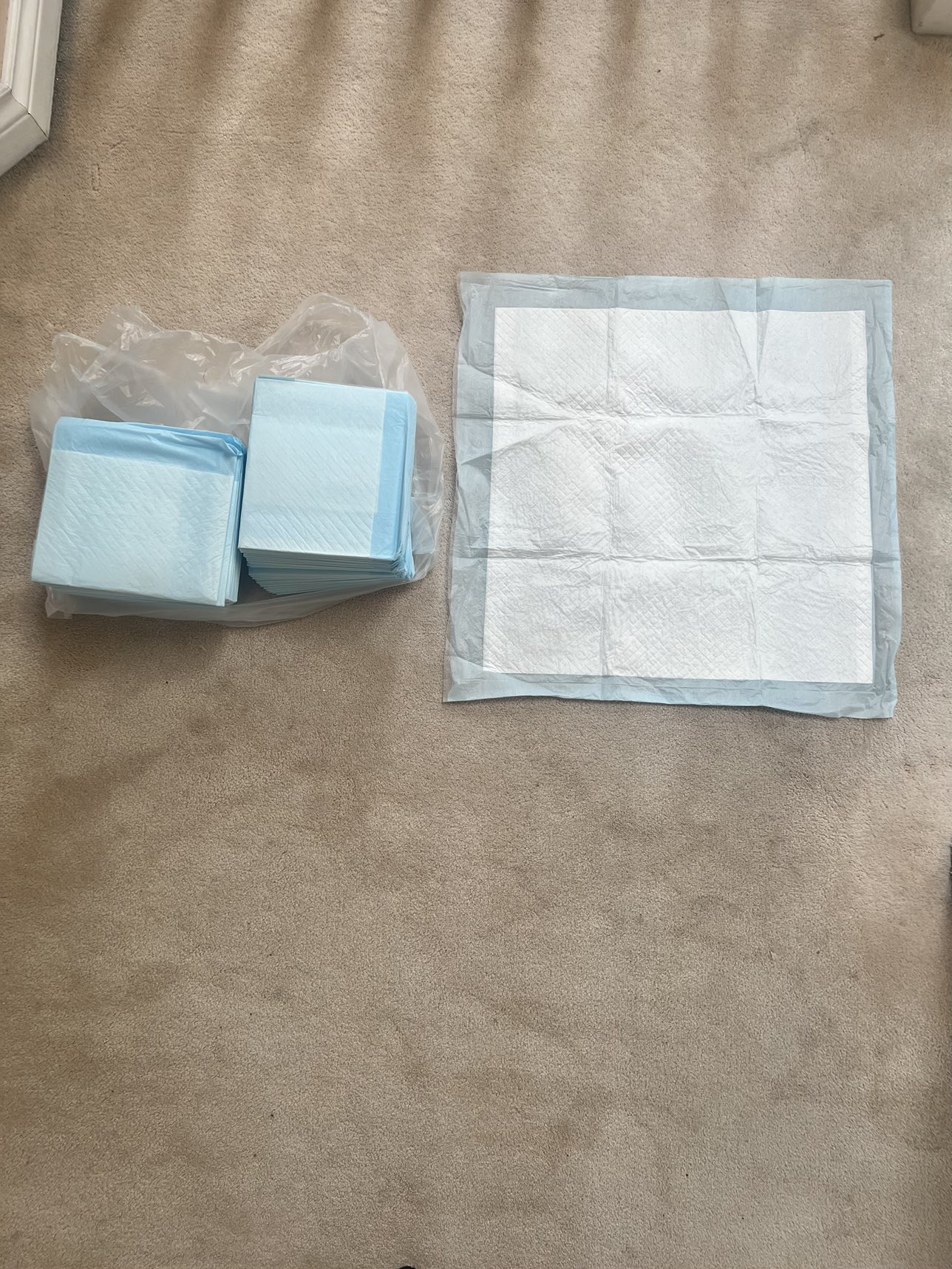 53 New Pet Training Pads, ideal for Puppies thumbnail