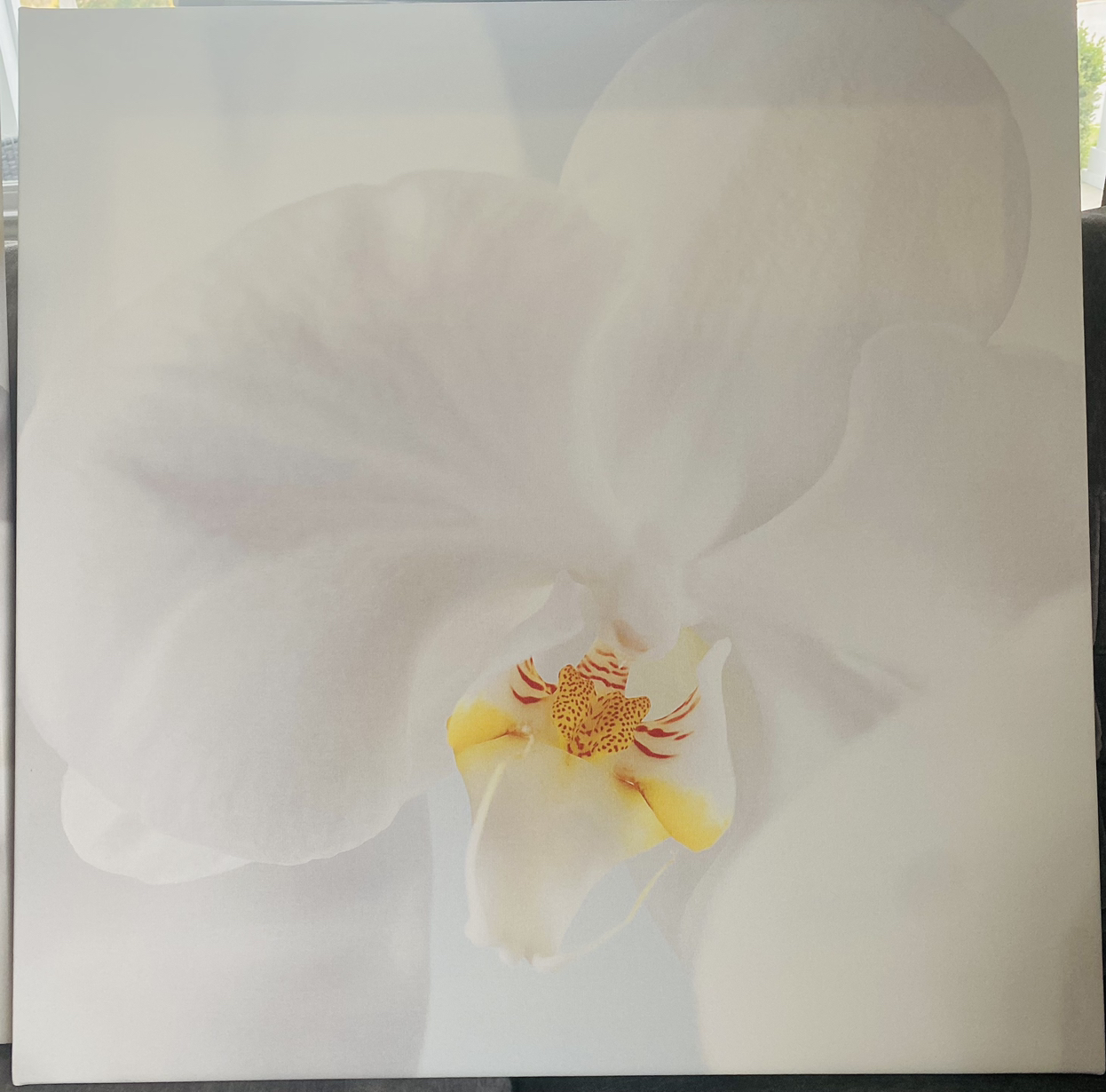 Orchid Canvas Wooden Framed Paintings - photo 4