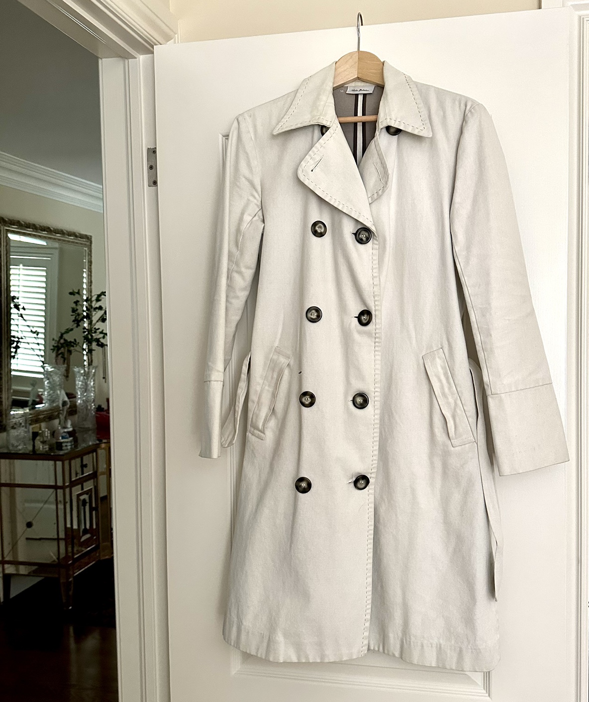 Trench coat image indicator(2)