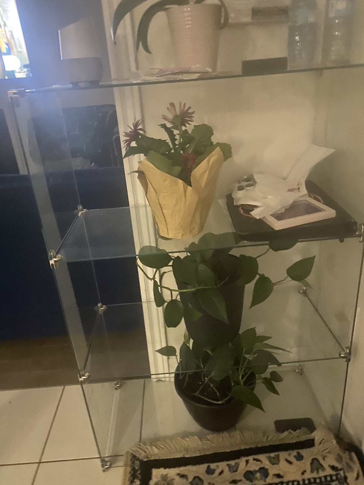 Glass for shelf - photo 2