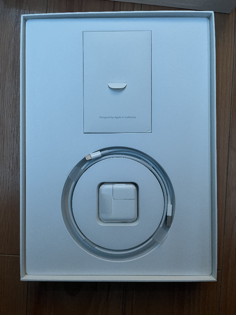 1st Gen iPad Pro 12.9inch - photo 5