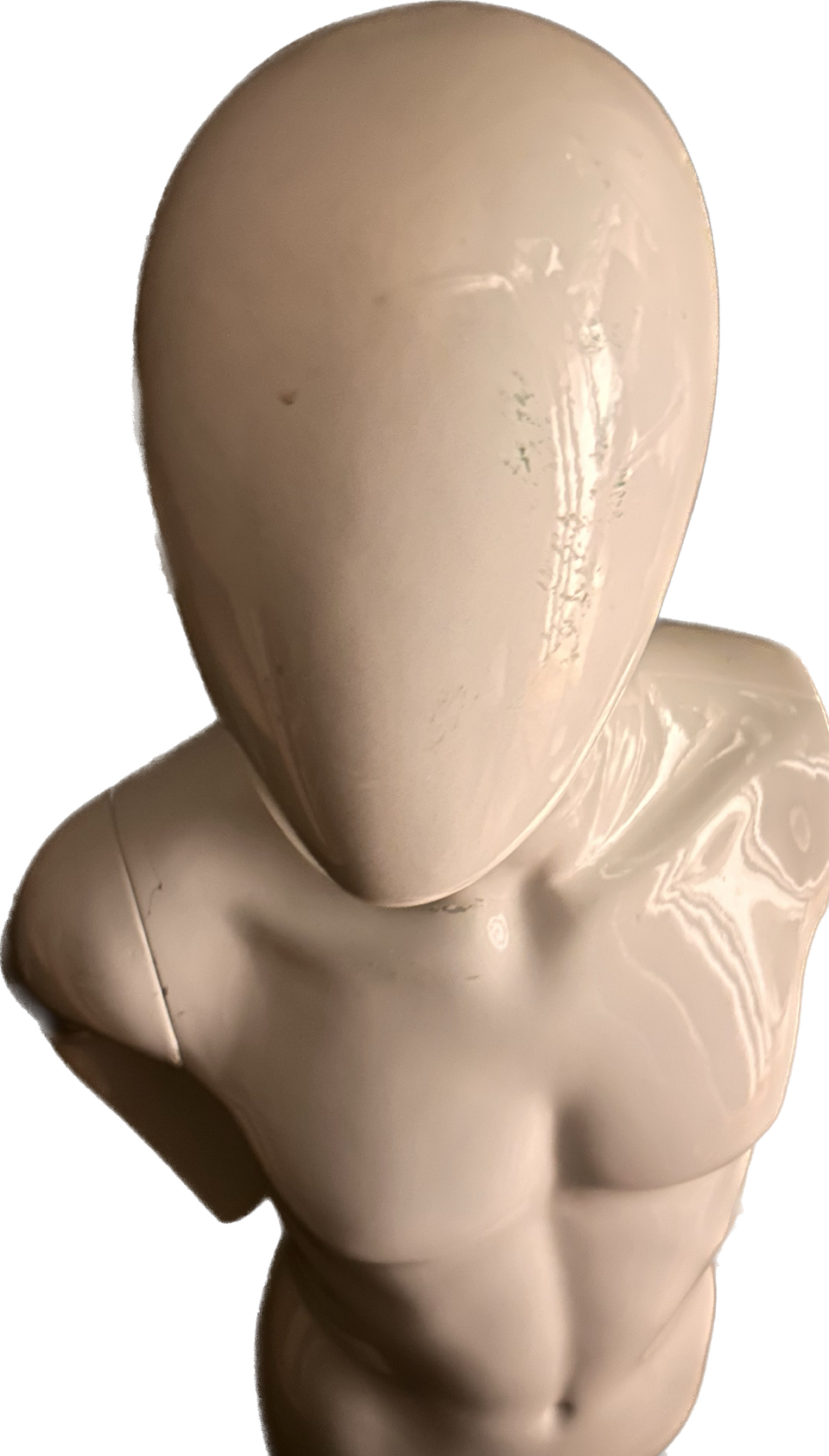 Mannequin: male torso with faceless head image indicator(2)