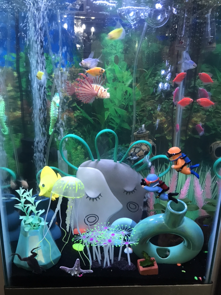 Fish tank