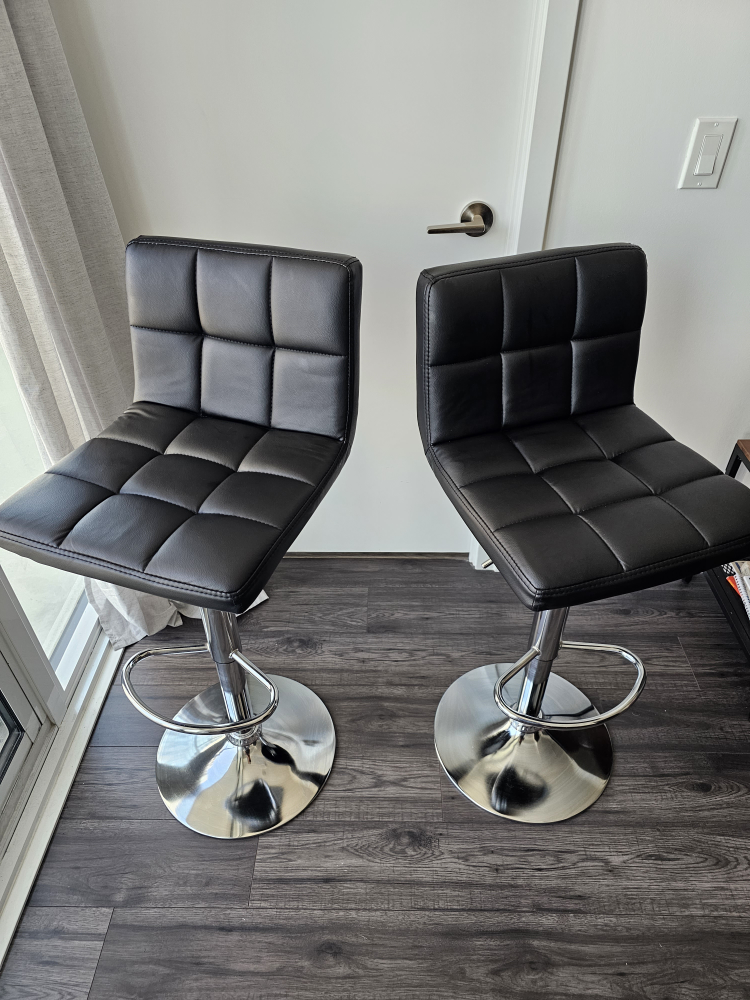 Renea Adjustable Height 33'' Swivel Bar Stool - photo 2