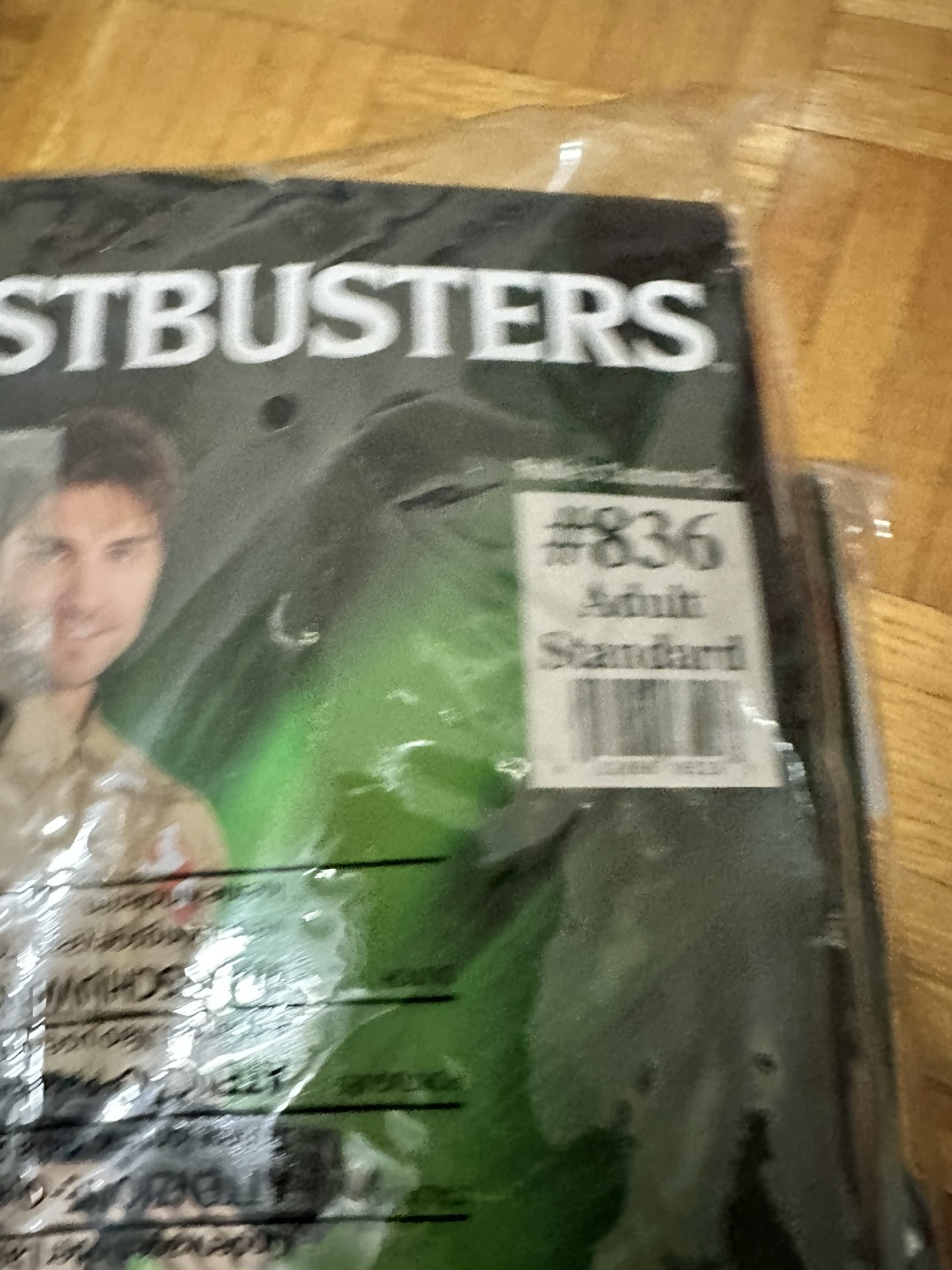 Ghostbusters Family Halloween Costume - photo 3