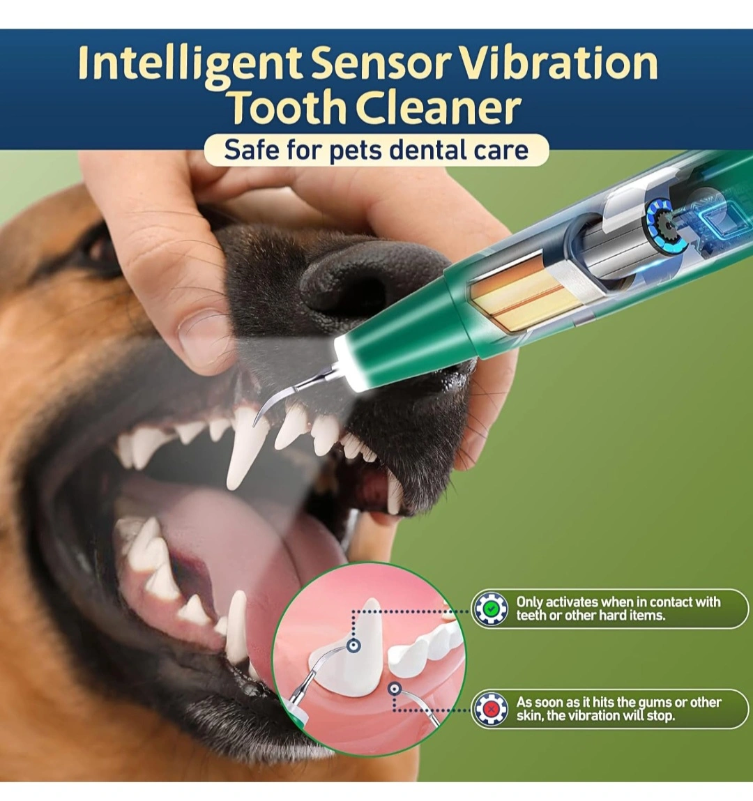Dog teeth plaque remover deals