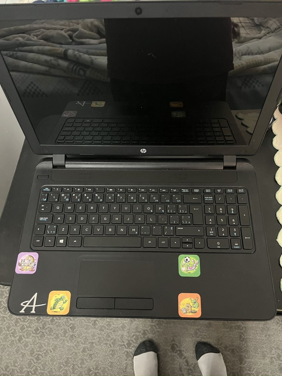 Hp laptop 443gb storage c: