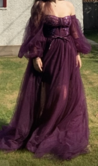 ballroom dress image indicator(5)