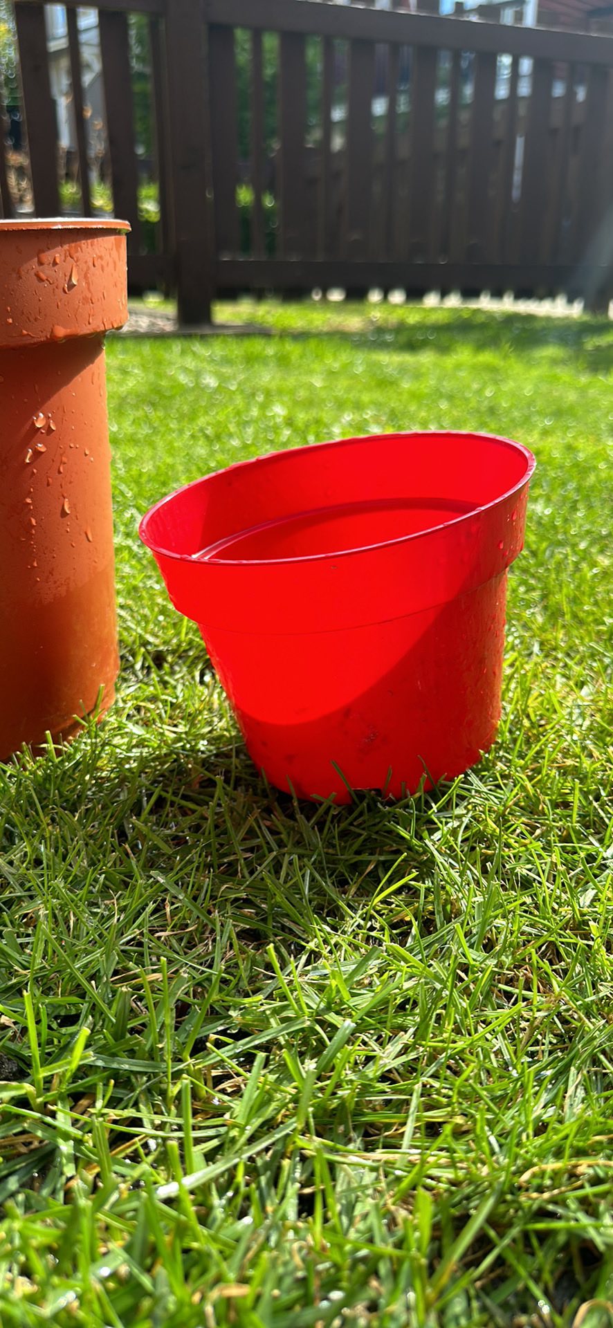 Five garden pots - photo 2