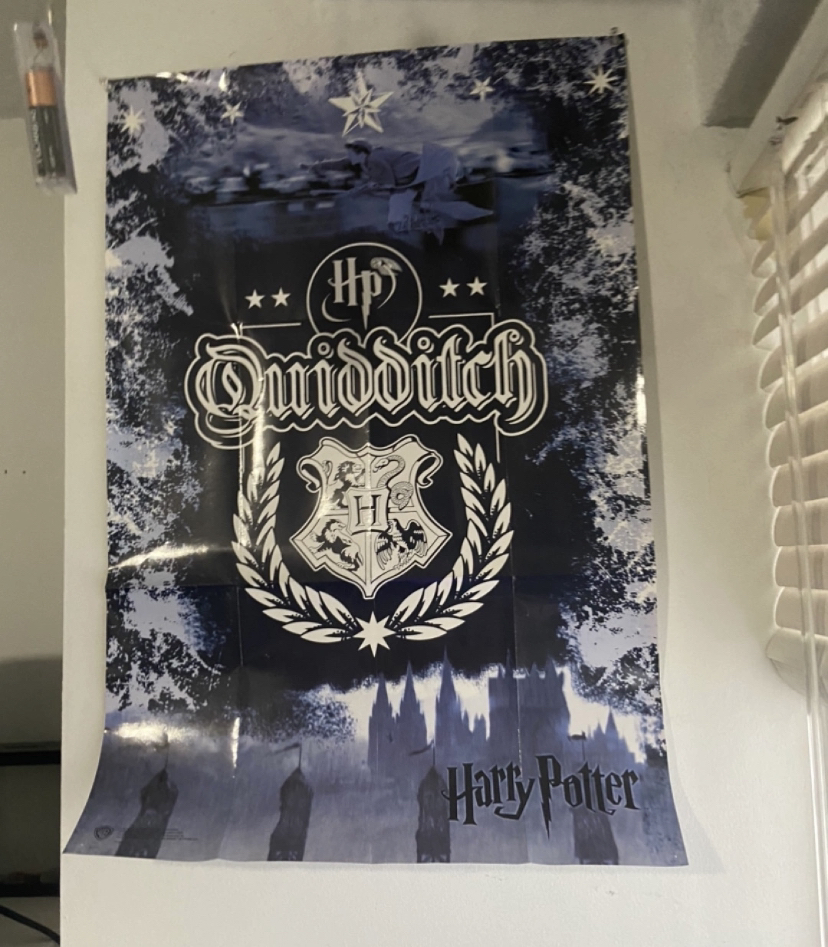 harry potter quidditch poster #freecycle thumbnail