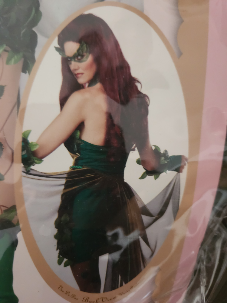 Halloween costume Poison Ivy/Lethal Beauty image indicator(4)