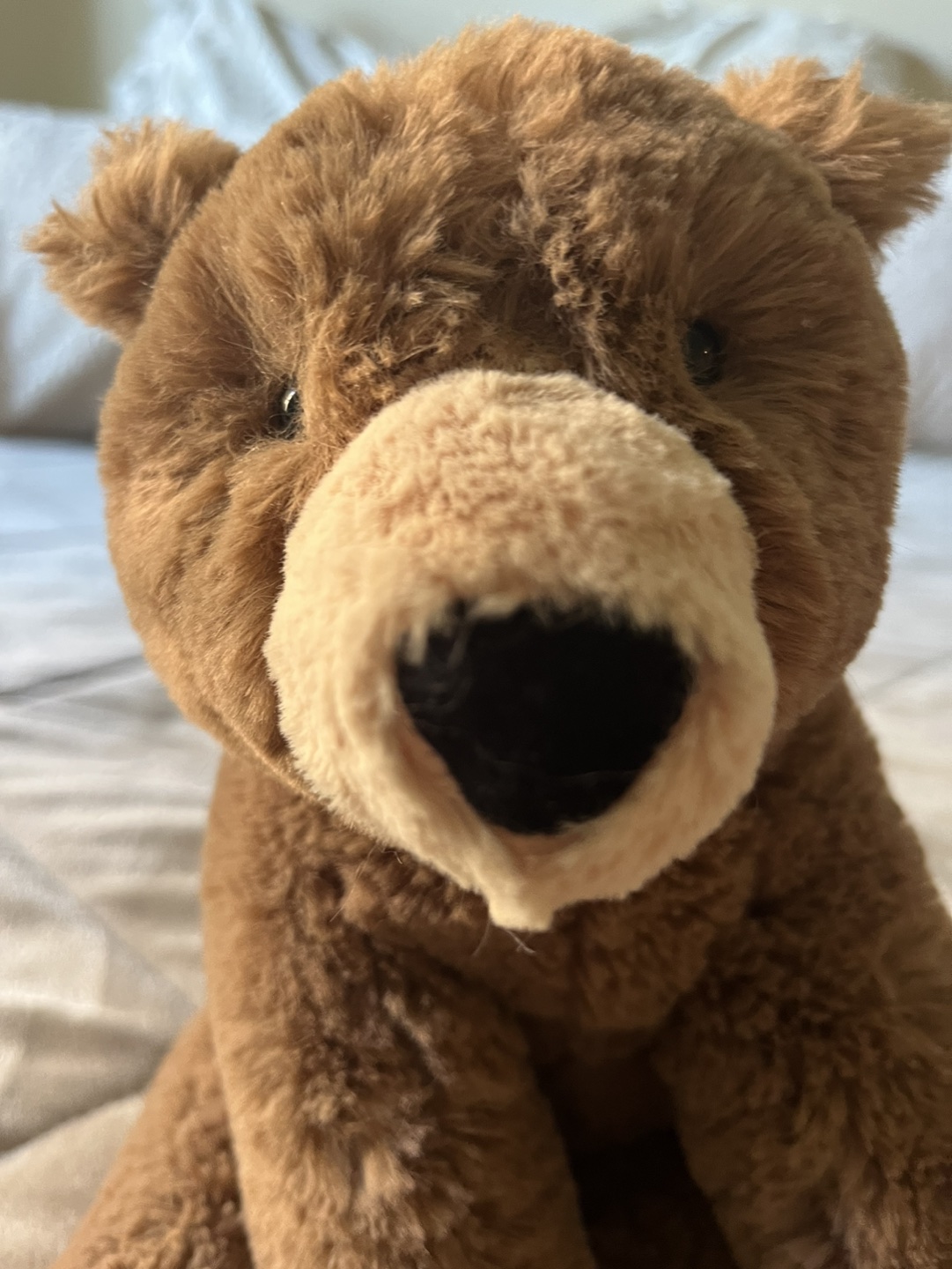 Jellycat Woody Bear BNWOT( Medium) - photo 3