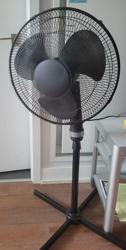 Fan