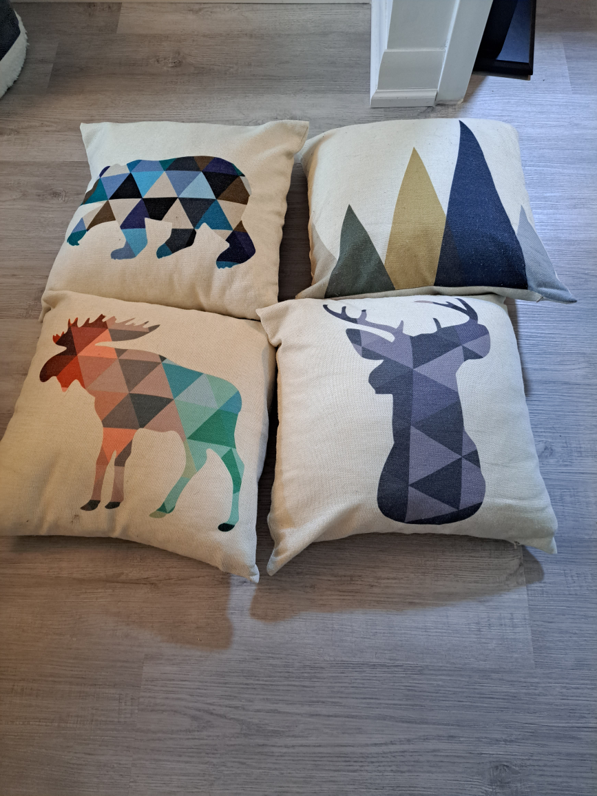 Couch Pillows x4 thumbnail