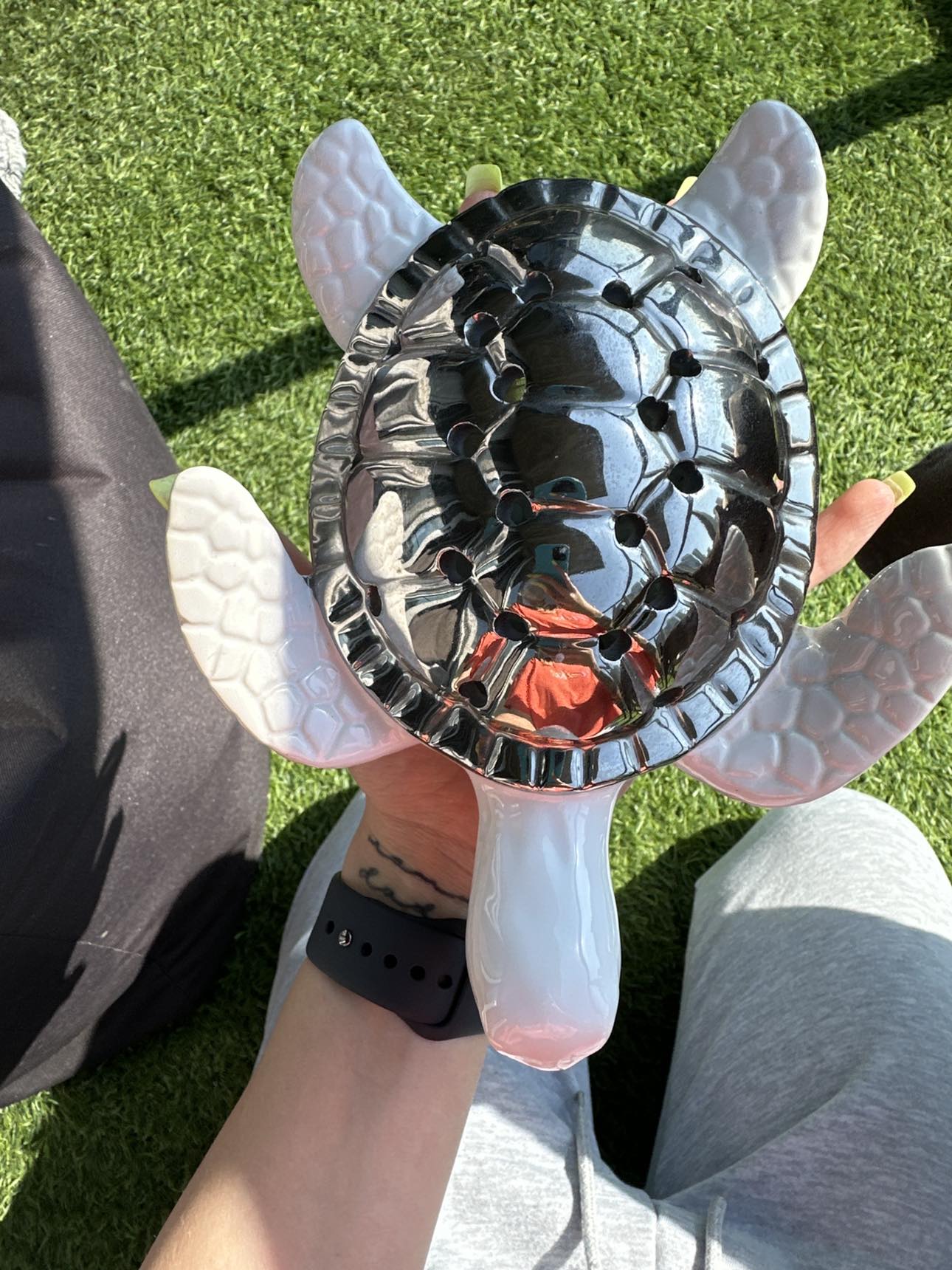 turtle decor image indicator(3)