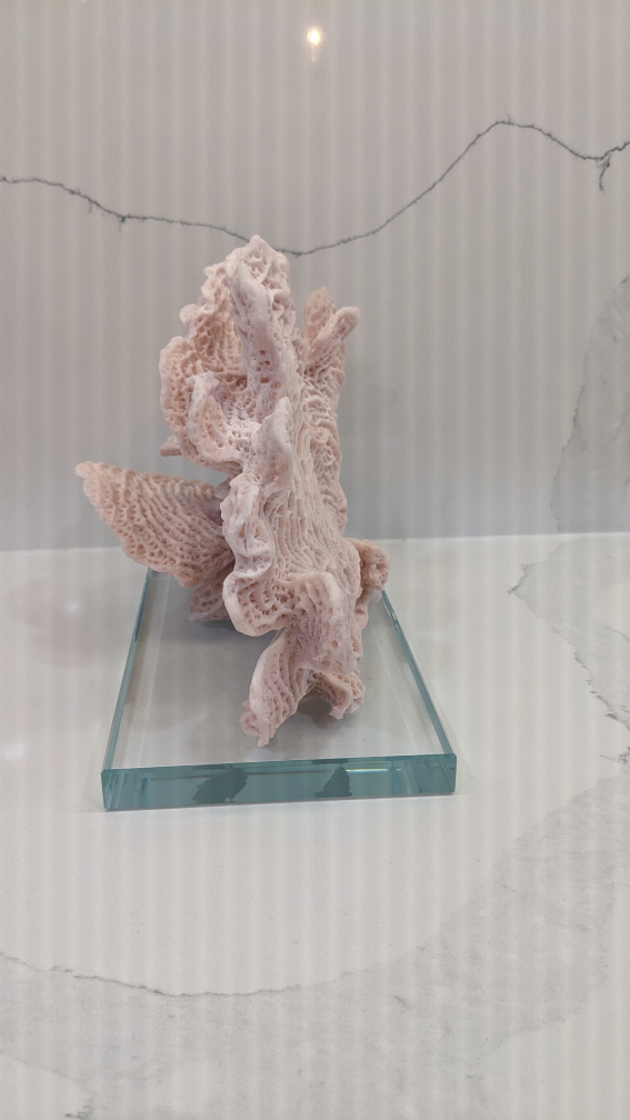 Faux Pink Coral Decoration image indicator(3)