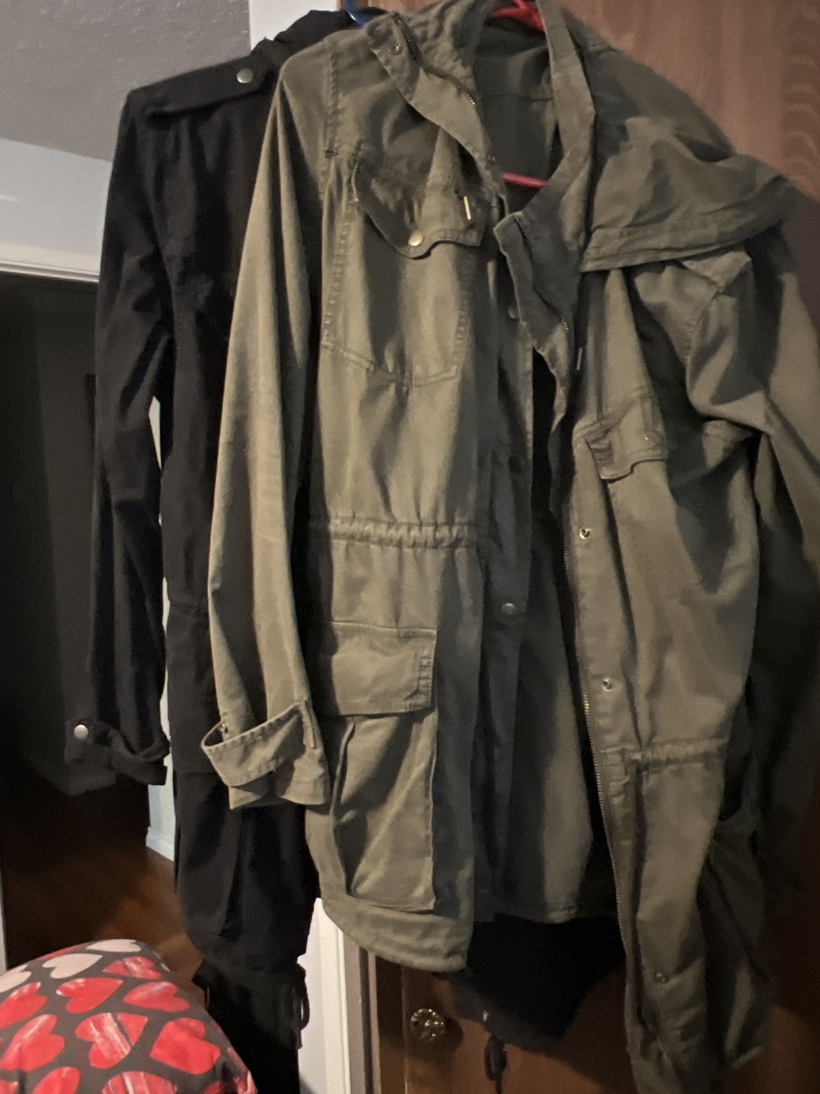 Aritzia trooper jacket