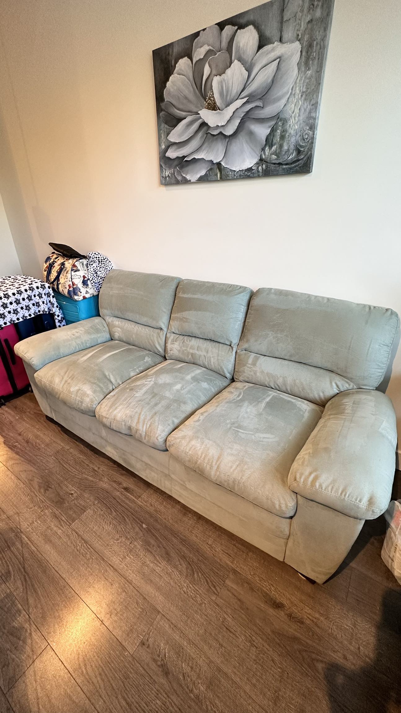 Gently Used Sofa