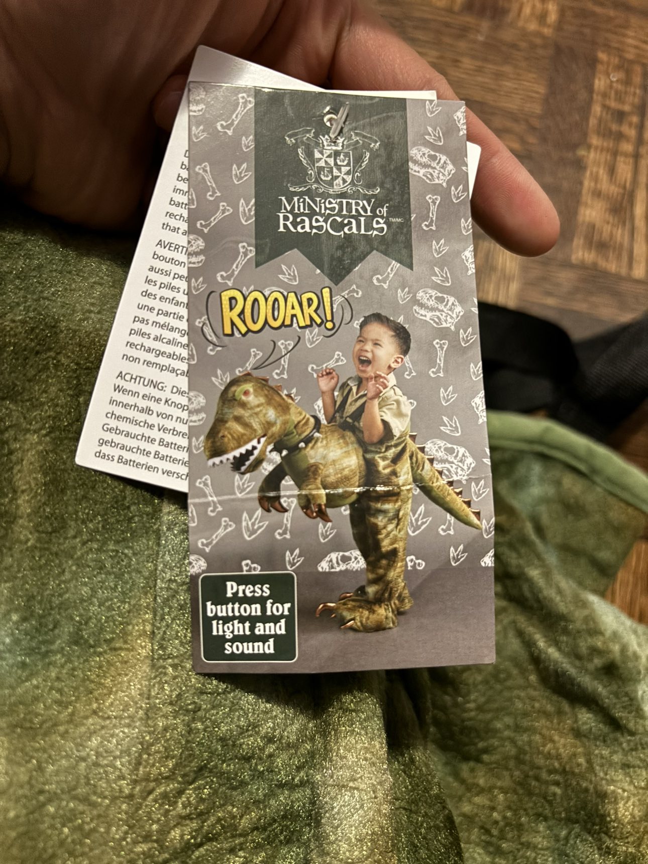 Dino Costume image indicator(2)