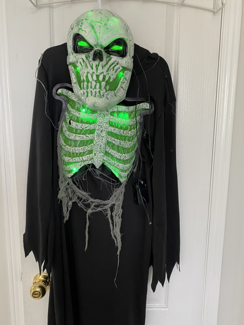 Halloween Costume