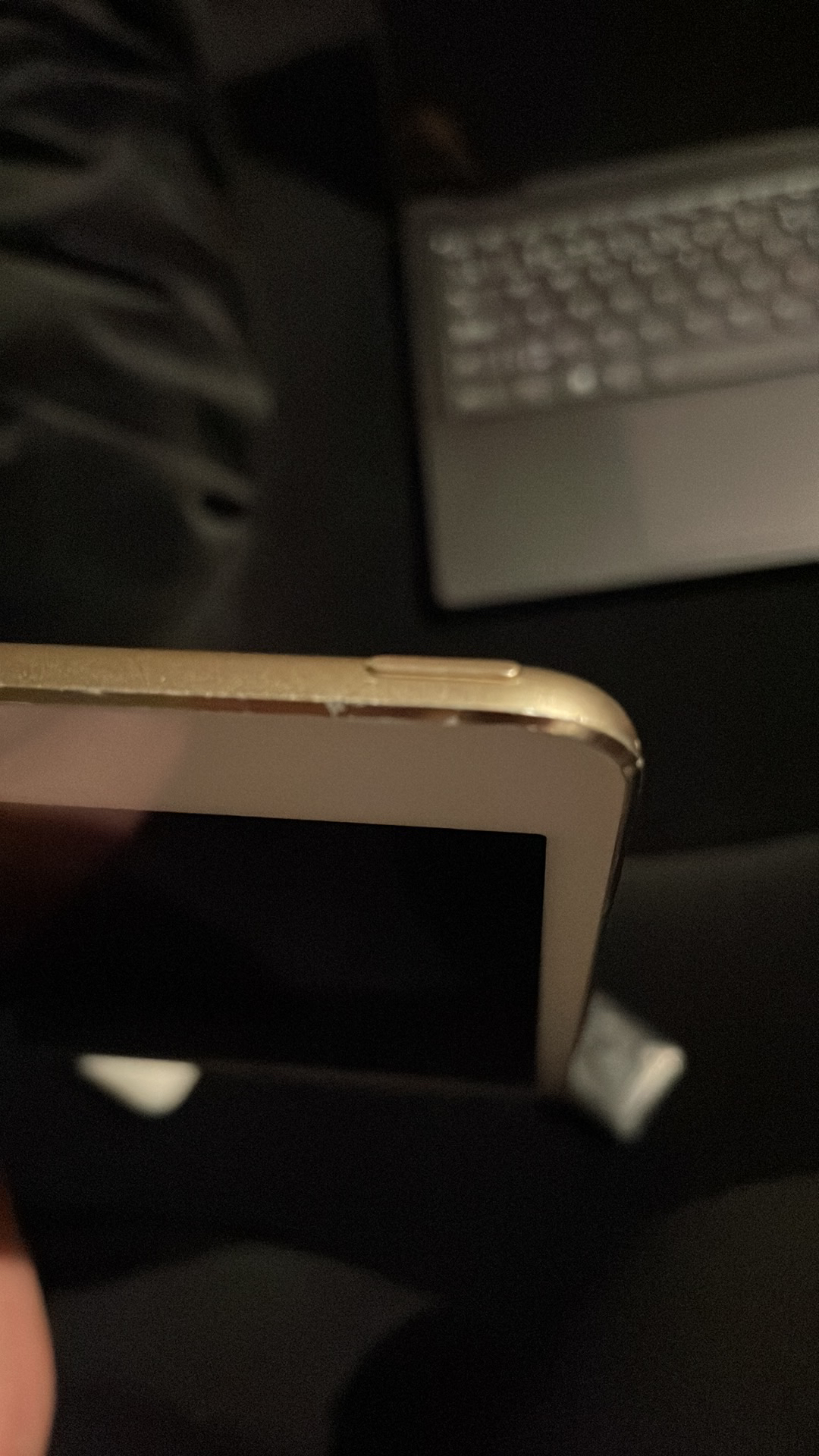 iPad Mini in Rose Gold - photo 4