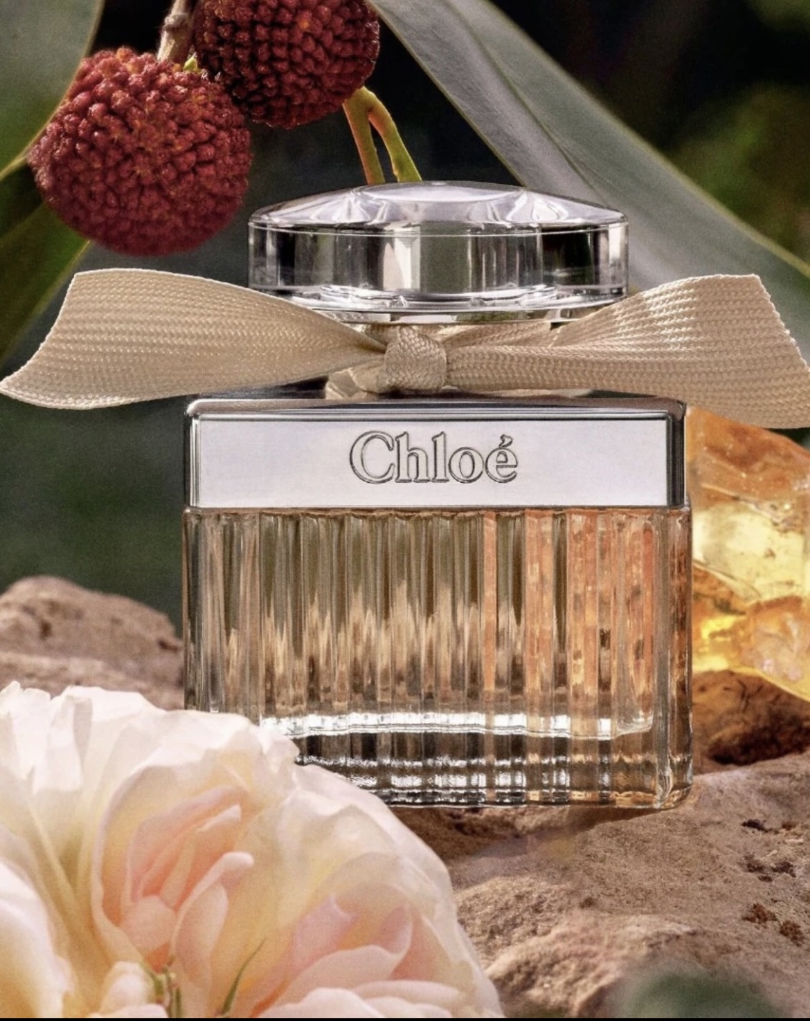** Brand New ** CHLOÉ Women Perfume 20ml image indicator(6)